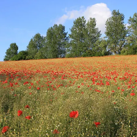 In For 5 Personen Dom wakacyjny